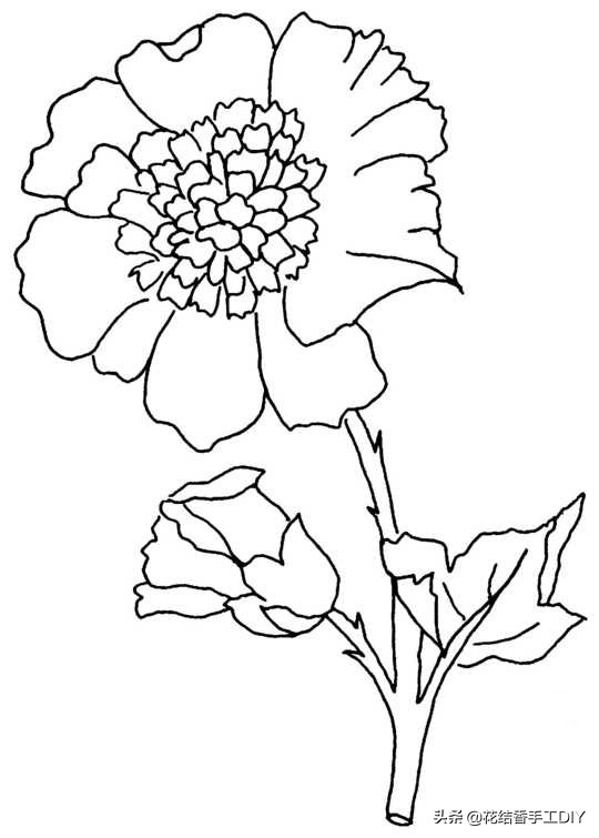 怎么学刺绣教程简单易学,刺绣技巧叶子的刺绣针法