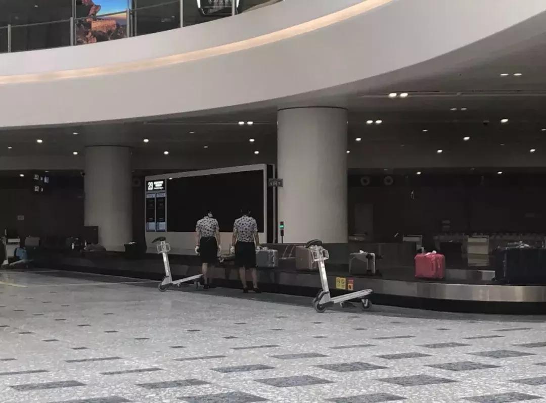 日本网友评价大兴机场,日本网友评论中国飞机