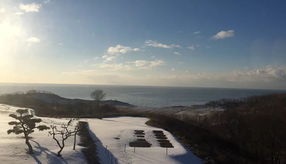 冬酿一杯酒,冬酿一壶酒