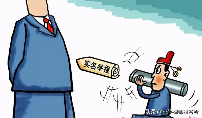 举报处罚决定能给举报人吗,举报人对举报结果能复议或诉讼吗