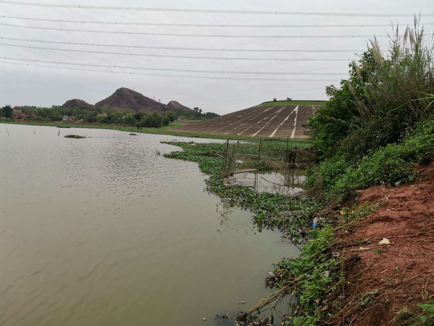 野钓能不能玩转黑坑,作为一个钓鱼的人