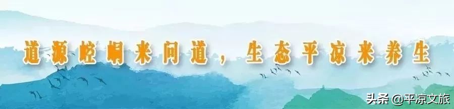 散文的情感态度,平凉人热情好客