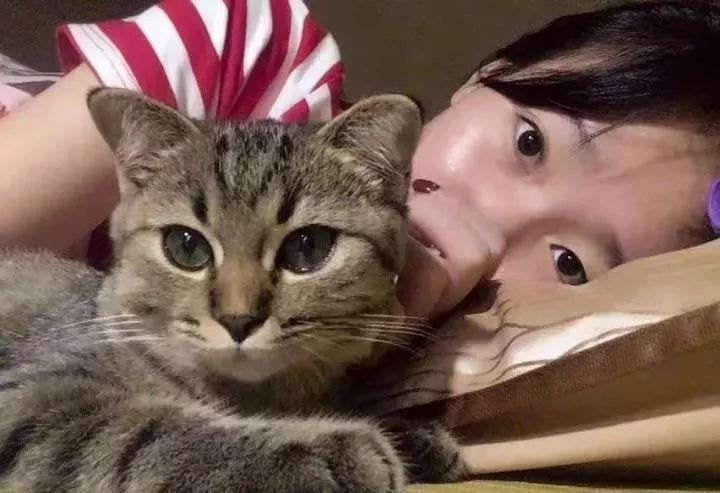 一个人养猫有什么烦恼,一个人生活养只狗靠谱吗