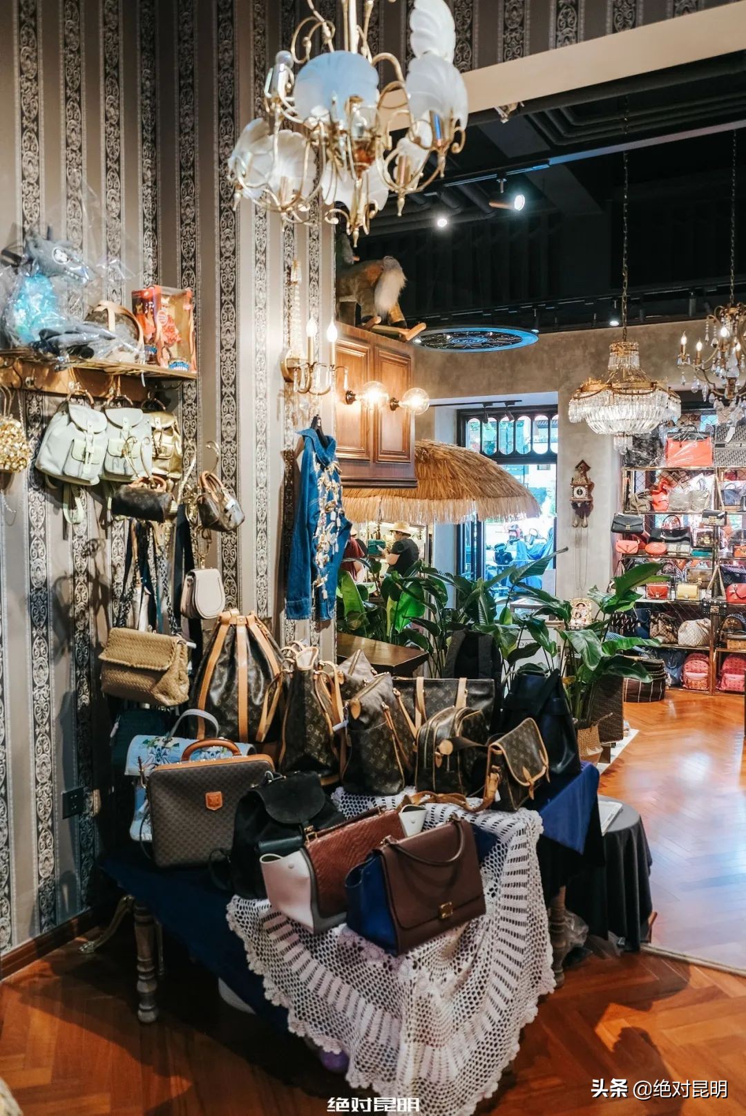 乘时光机回到2019年的科切拉,乘时光机穿梭