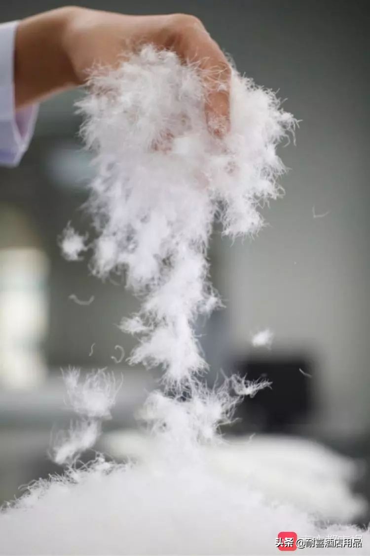 识别真假羽绒服视频,如何识别假羽绒