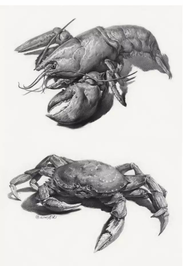 素描静物不会起形怎么办,素描不会排线怎么做关系