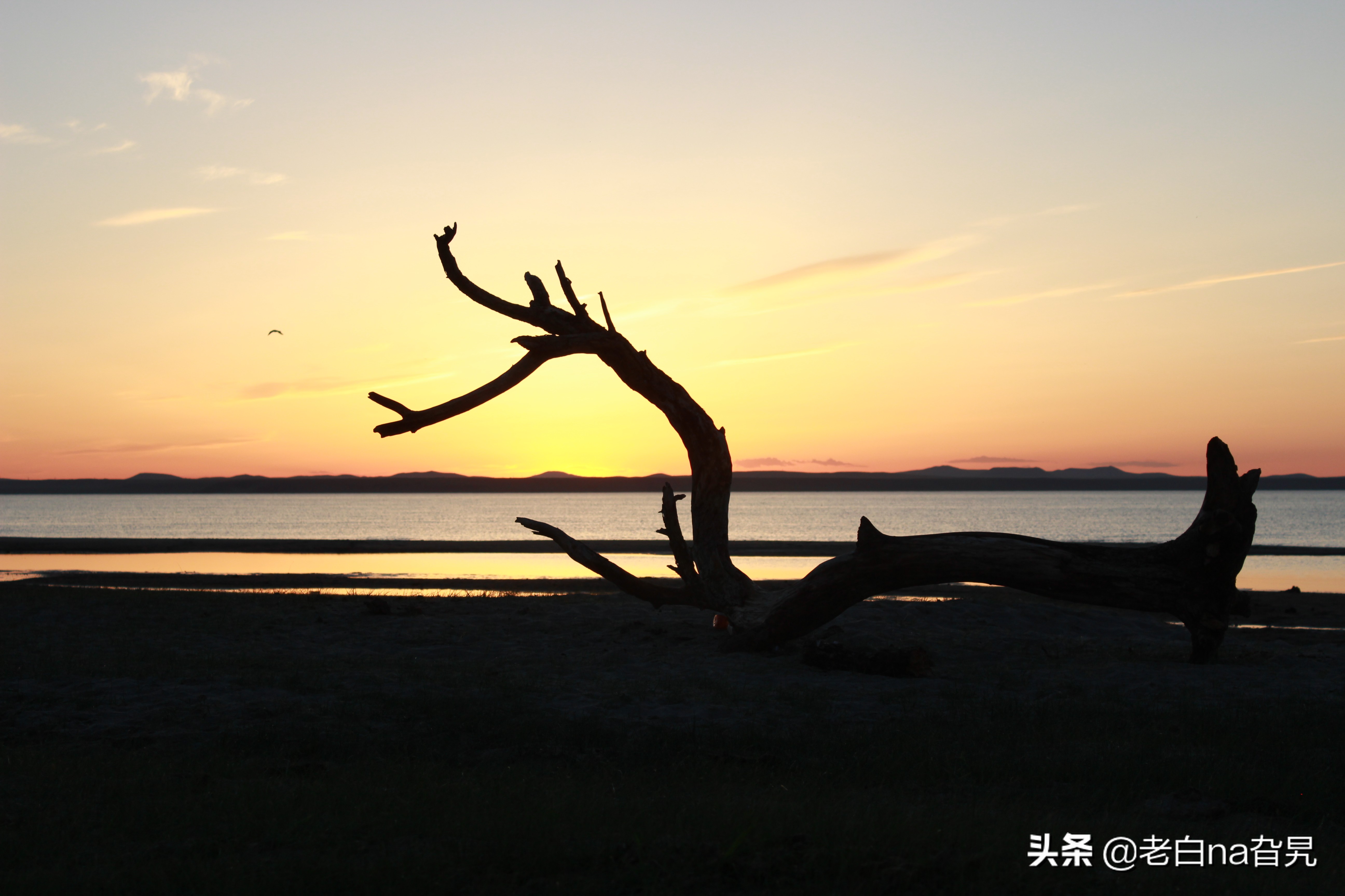 达里诺尔湖早上的风景,达里诺尔湖四大名湖