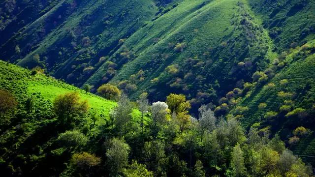 国家认证！*疆新**又一城市成为“中国天然氧吧”，大自然“空调房”就在……