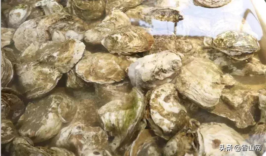 珠海南屏海鲜攻略值得推荐,珠海南屏吃海鲜的地方