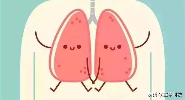 肺康复治疗新技术,上海宜挚科技有限公司