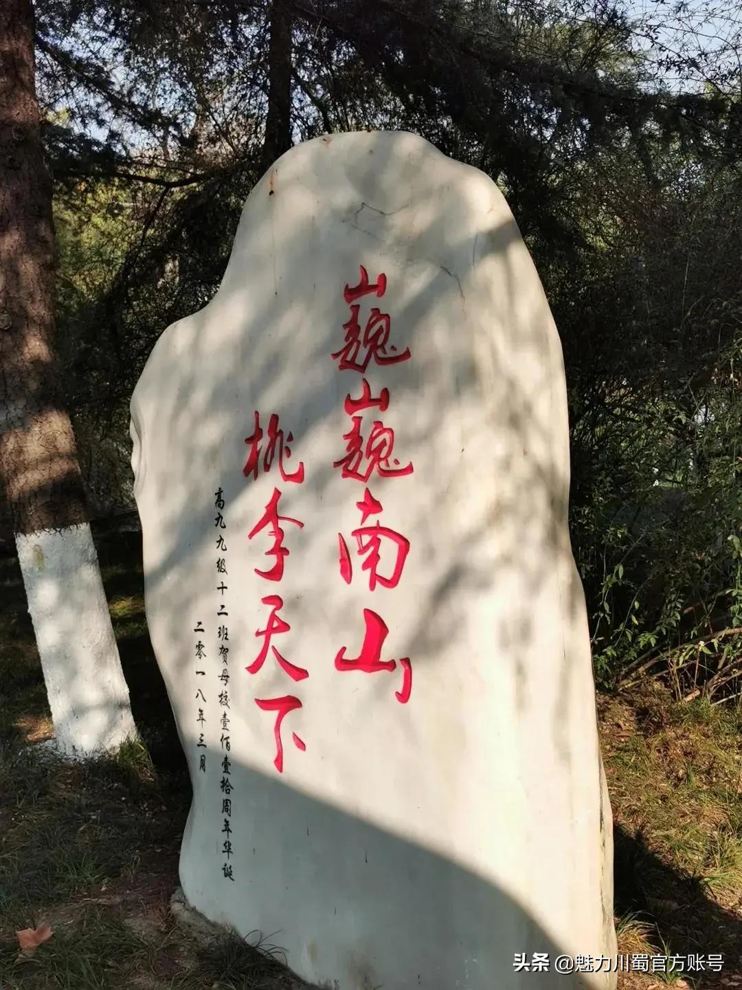 绵阳南山中学办学理念,家长评价绵阳南山中学真实水平