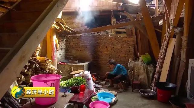 种田不用化肥农药,种田不用肥料