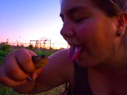 强有效的天然致幻剂，很多人纷纷上瘾，狂“舔蛤蟆”