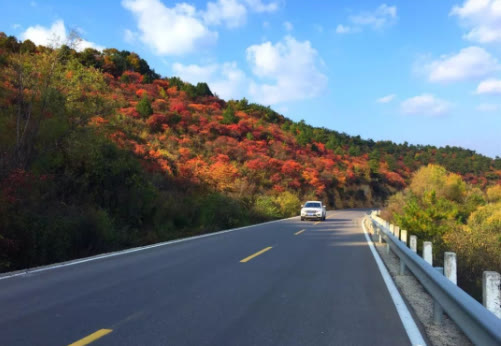 走遍中国河南篇视频,走遍中国河南全集