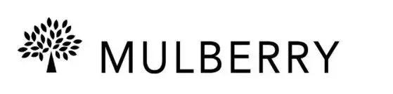 刘雯今年最流行的包,刘雯同款包时尚潮流大牌大容量