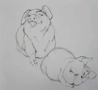 猪年国画：猪的绘画步骤