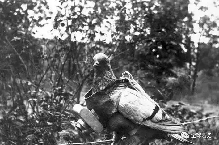 中国最伟大的军事发明,最可笑的军事发明