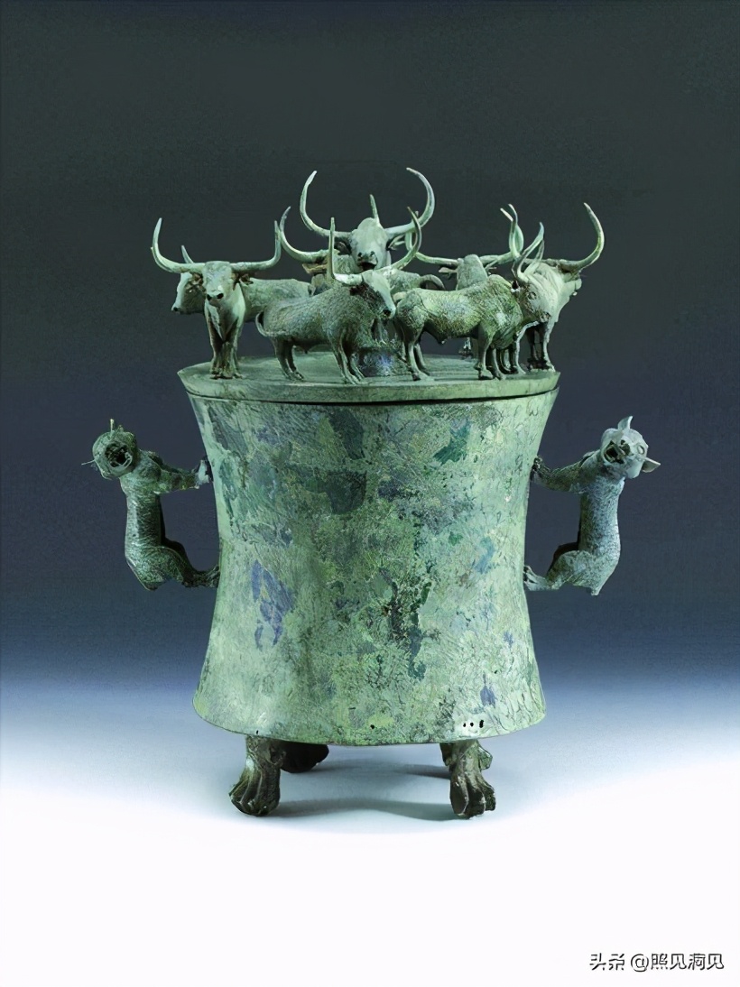 牛家牛从什么地方来的,牛年谈牛