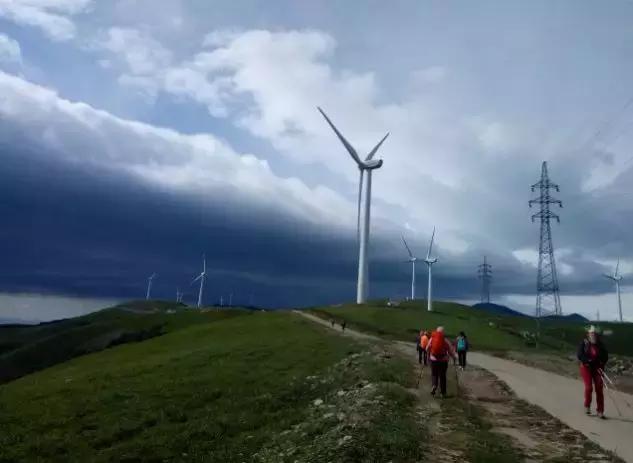 风里来雨里去上海,风里来雨里去重庆