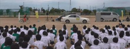 安全教育课伤人,一场家庭安全教育学习