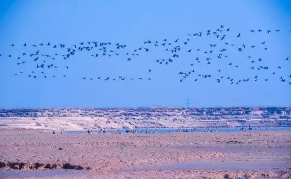 广东最美乡村自驾游攻略,广东最美乡村自驾游路线