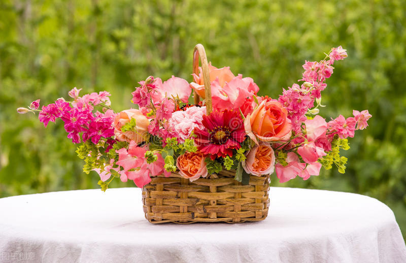 说说双子座最讨厌的星座是什么,双子座讨厌你会彻底删微信吗