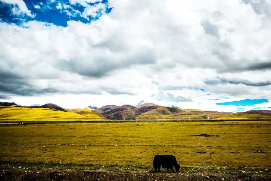 国道317进藏路上的风光,这9条进藏线路值得收藏