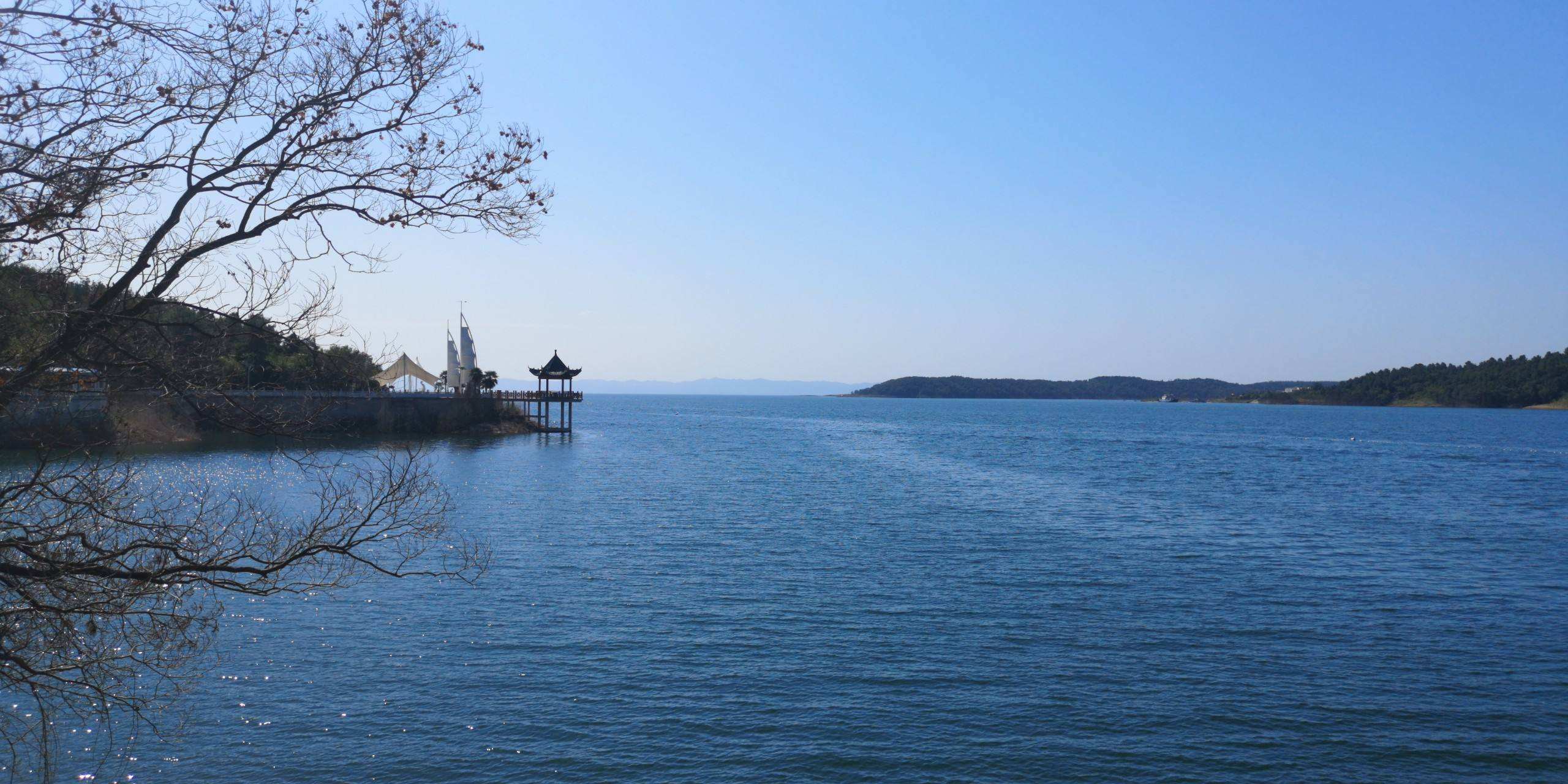 含氧量过高鱼好钓吗,钓鱼怎样判断含氧量高和低