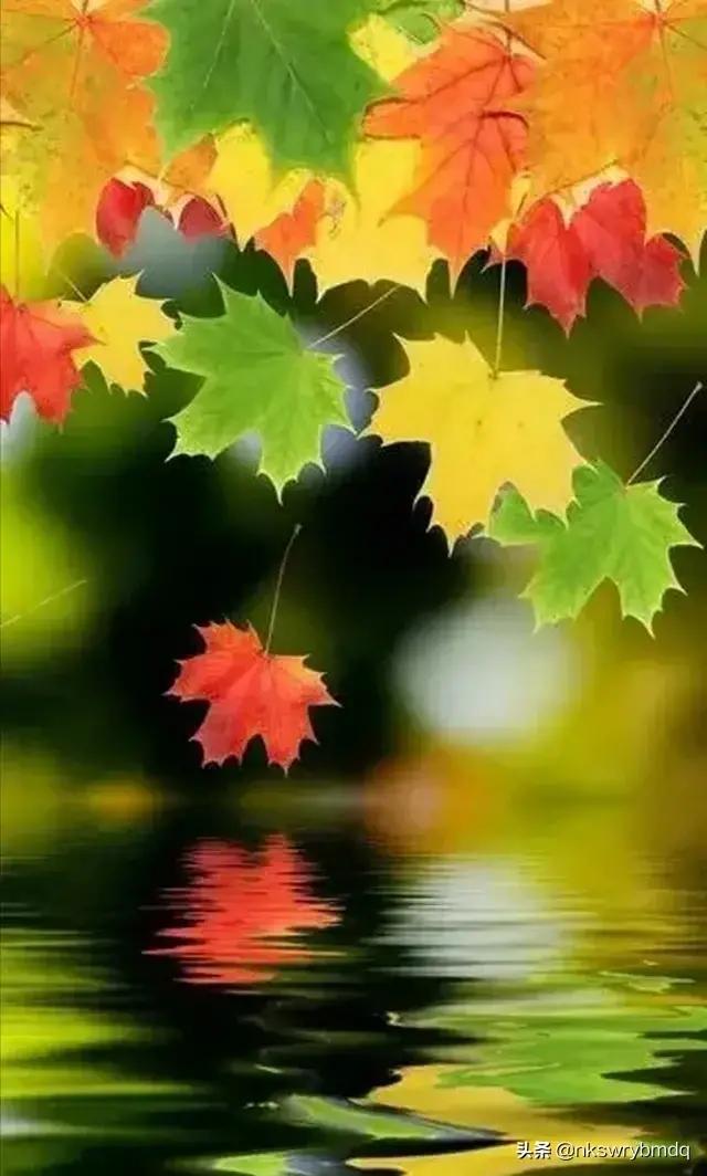 韩系车质量到底咋样起亚kx3傲跑,起亚奕跑车质量怎样