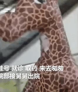 笑喷了!网友开发出的“硬核”防疫装备你遇到过几种?