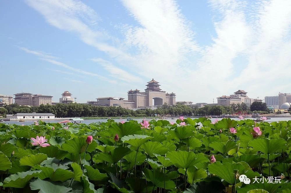 北京适合踏春旅游景点,北京春天看花的景点推荐
