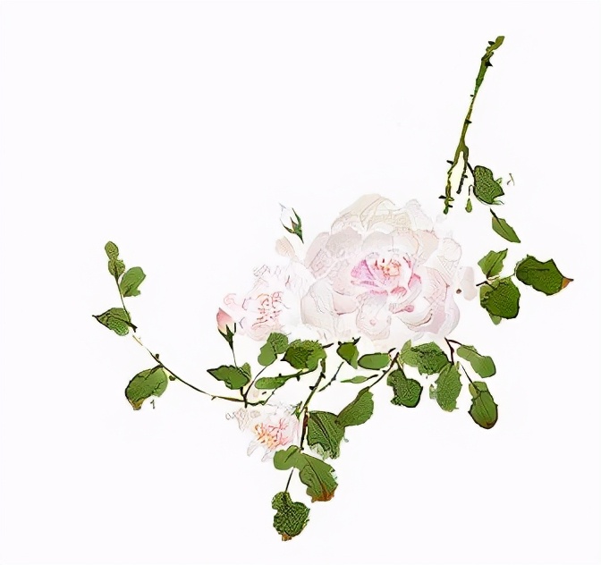 “小人物”麝月抽到“荼蘼花”，她在《红楼梦》里还藏着什么秘密