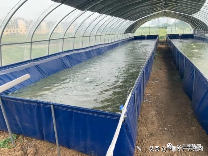 帆布池养殖需要注意什么,帆布池养殖要注意哪些