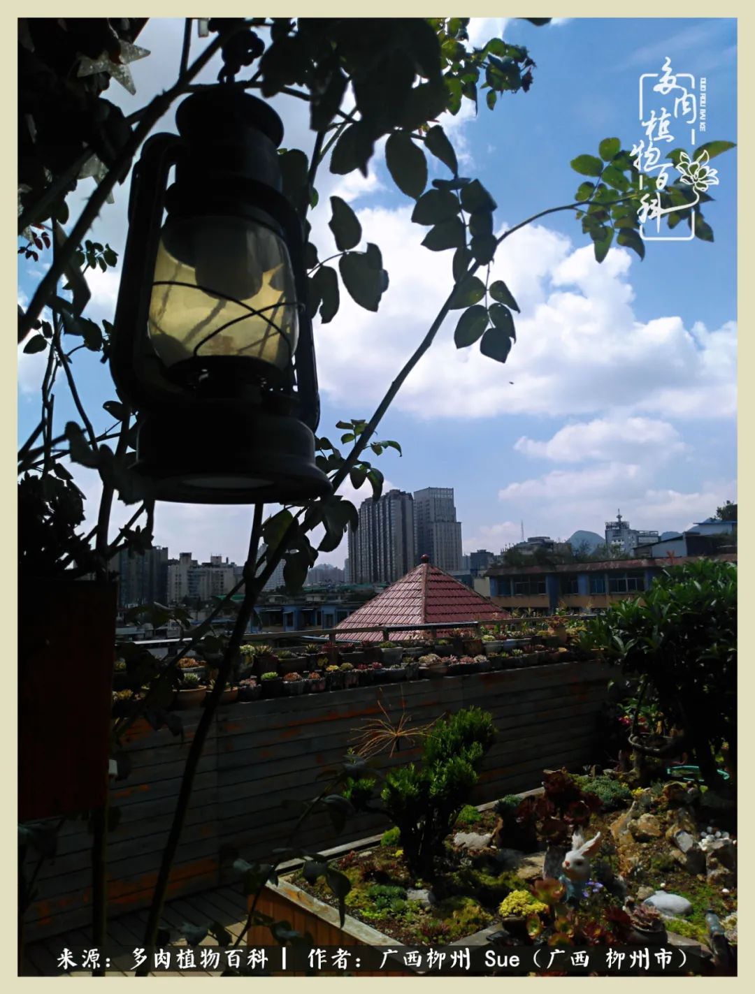 艳阳高照凉爽贵州，我要勤快地捕捉美好！（二）