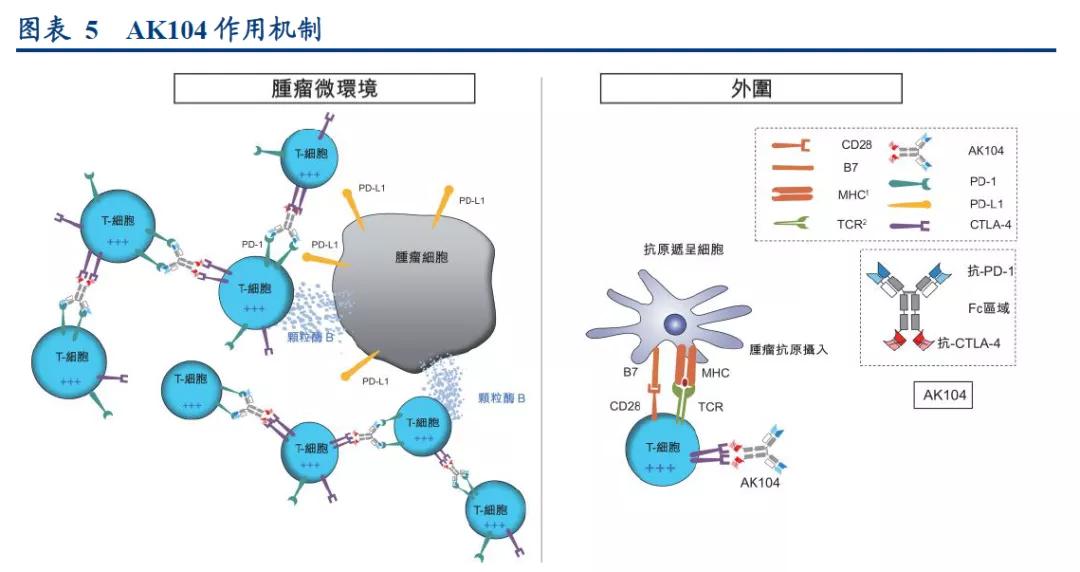 康方生物fda检查,康方生物ak104fda