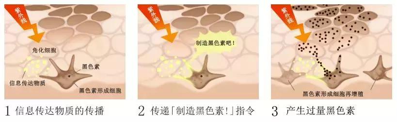 别再被偏方骗了,别再被小窍门忽悠了