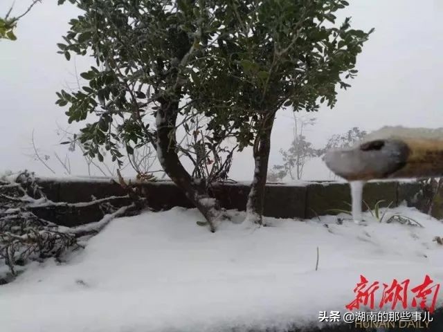 常德大暴雪具体什么时候下雪,常德天气今冬第二场雪