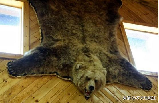 在农村，为什么以前有人常把动物皮钉在墙上？有什么讲究？