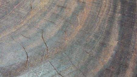 新买的砧板裂开怎么办,新砧板开裂是什么原因