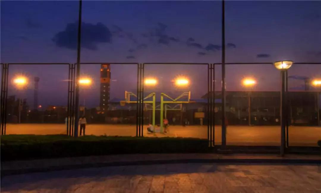 篮球因为热爱所以坚持比赛现场,篮球赛因为热爱所以坚持