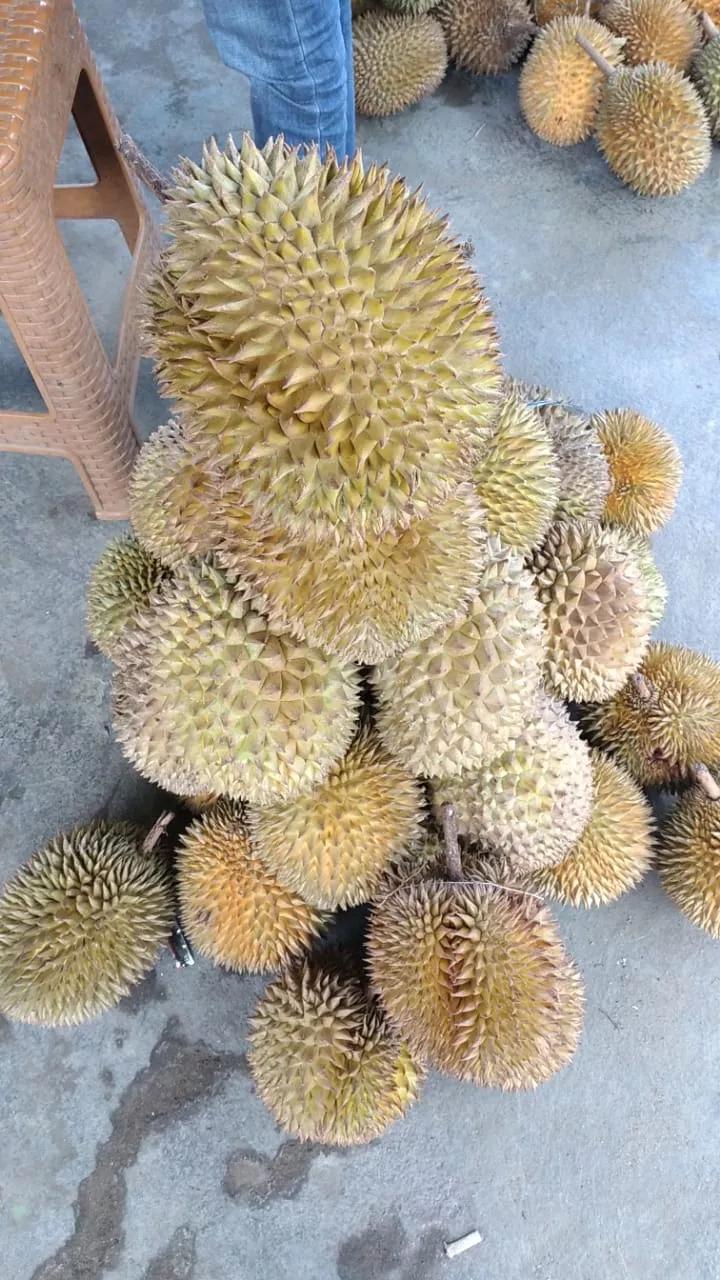 印度尼西亚本地水果比较好吃,印度尼西亚水果