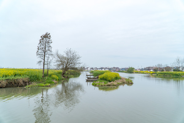 踏春赏花正当时，打卡千垛水上油菜花！玩转兴化景点美食全攻略