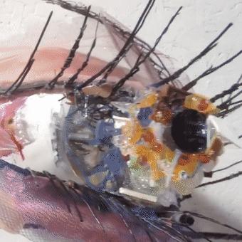 閫忚澶栨寕鐪熷疄浜嬩欢,閫忚澶栨寕鐪熺殑鍋囩殑