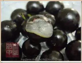 世界稀奇水果品种大全,世界热带奇特水果品种介绍