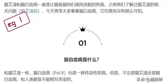 猫白血病病毒（FeLV）感染≠猫白血病≠安乐死