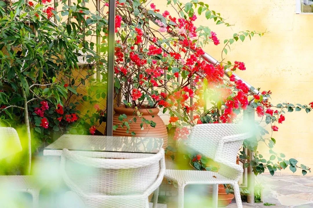 深圳11号线地铁里面看大海,深圳11号线地铁哪一段能看海