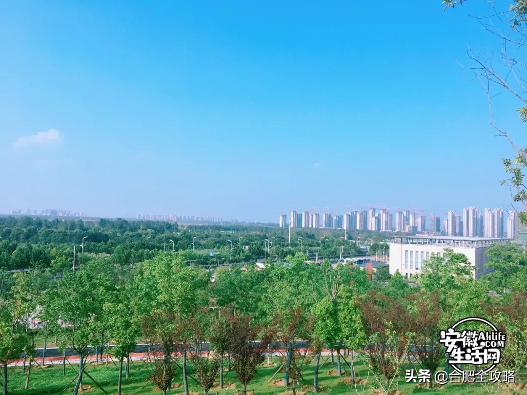 合肥是一座温暖的城市,合肥是一个有灵魂的城市