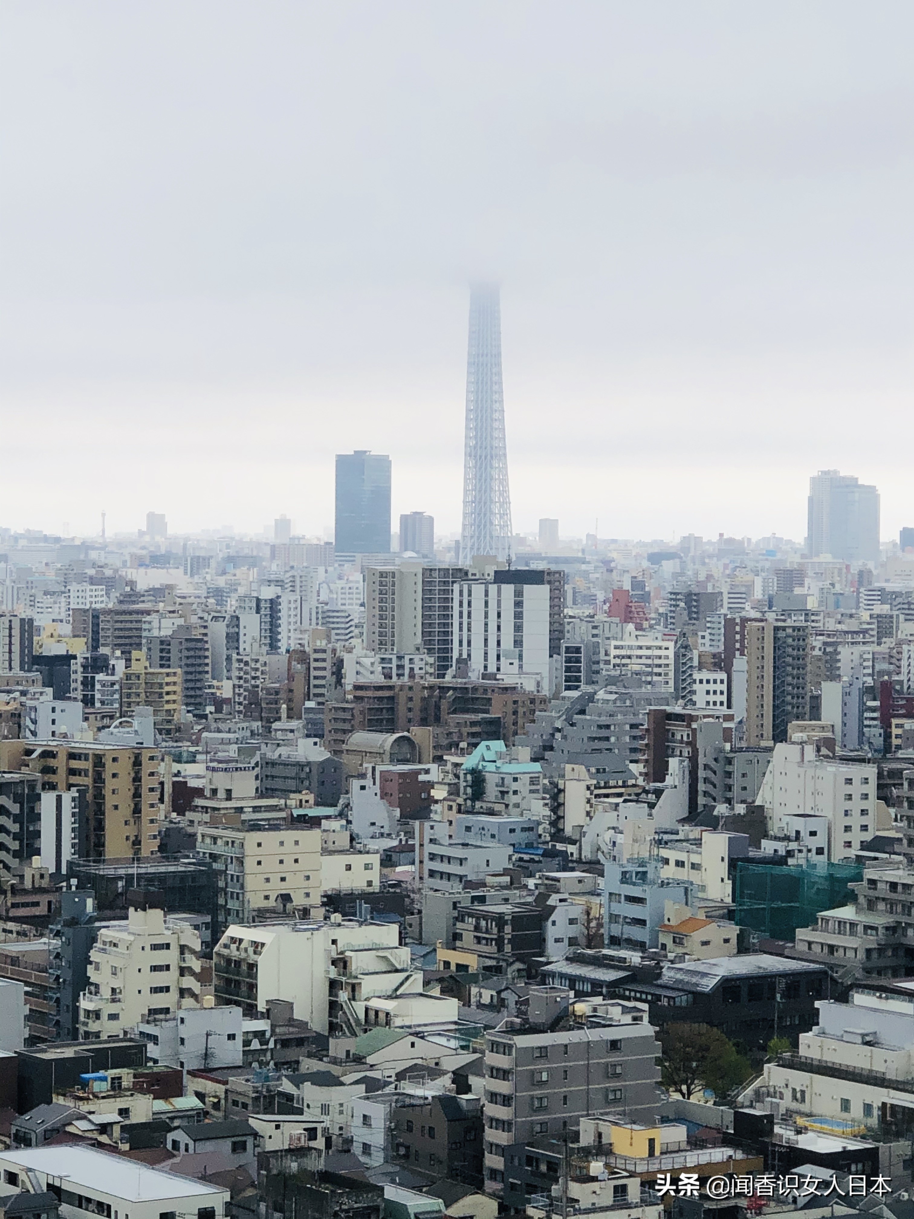 东京都知事是什么,东京都知事全部视频