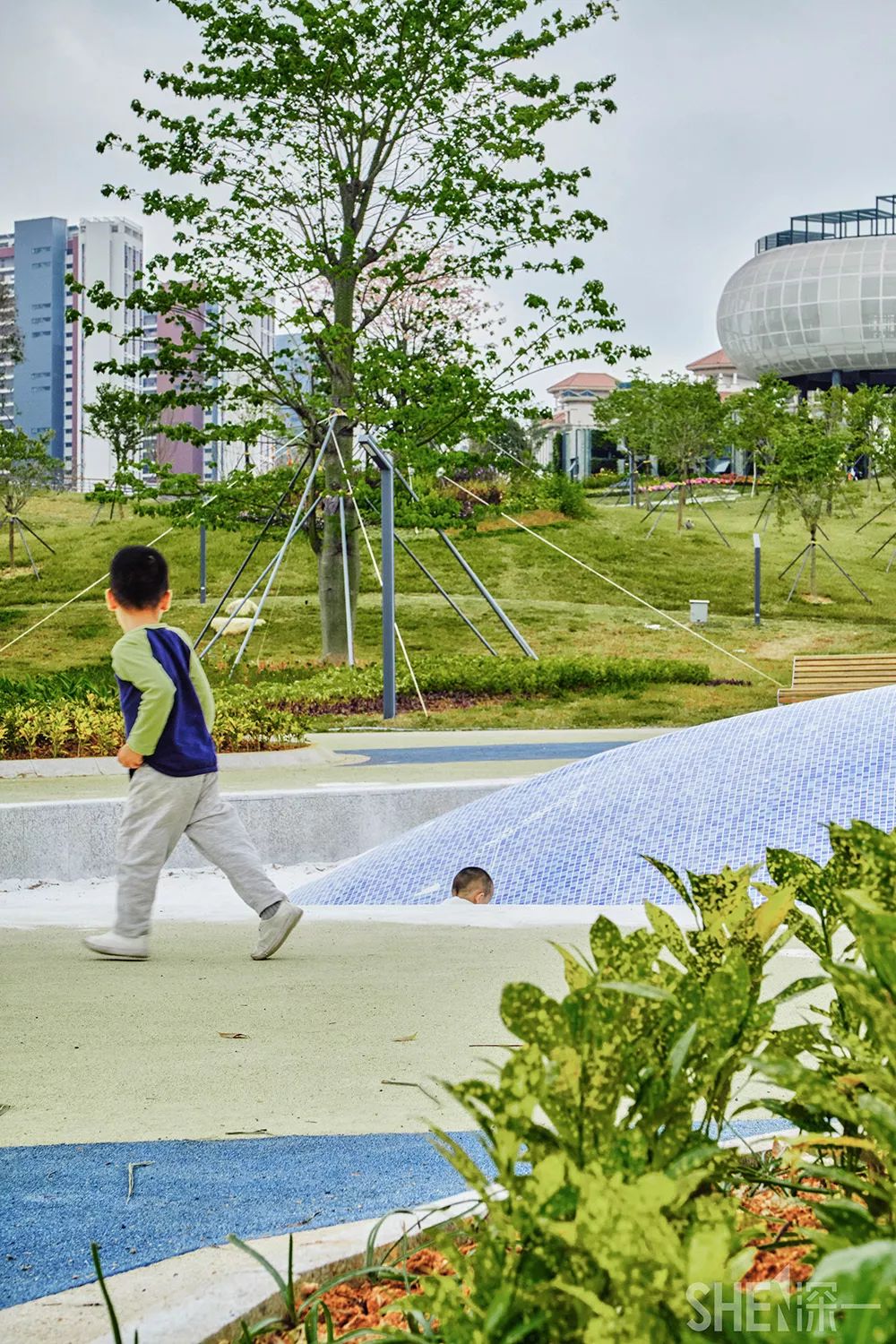 深圳龙华公园对外开放了吗,深圳市龙华新开的公园