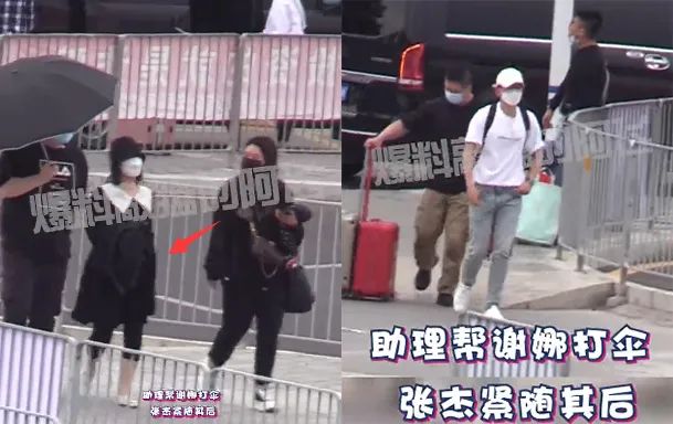 张杰和谢娜前几年的婚姻,张杰和谢娜公布恋情大家的看法